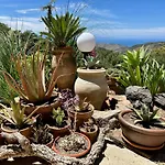 Cefalu Forest Hideout