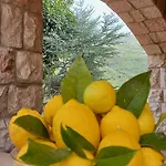 Villa Verde