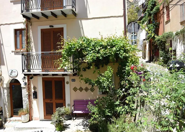 La Casa Del Geko
