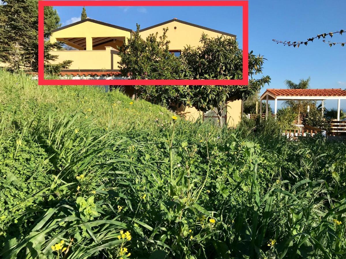 Casa Delle Palme Apartment