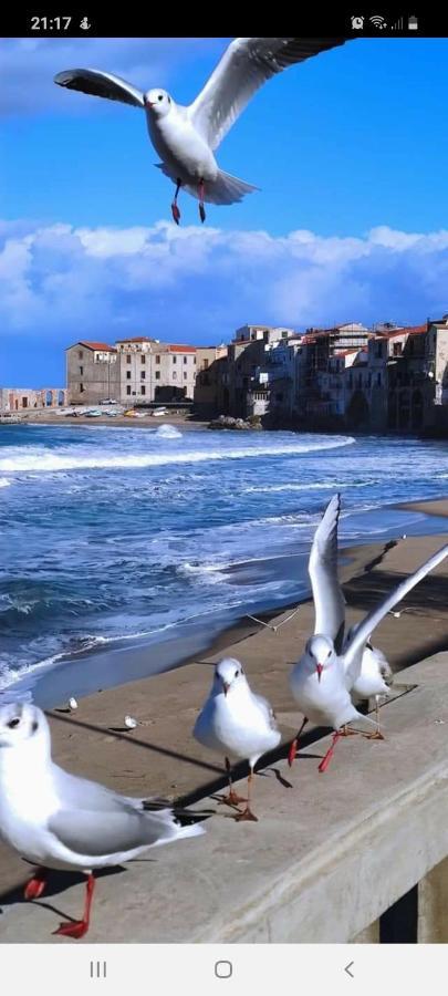 Al 61 Coccinelle E Farfalle Cefalu