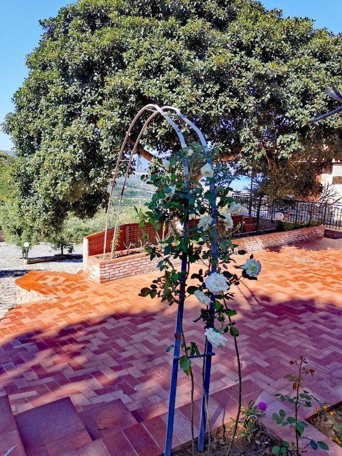 Villa Verde