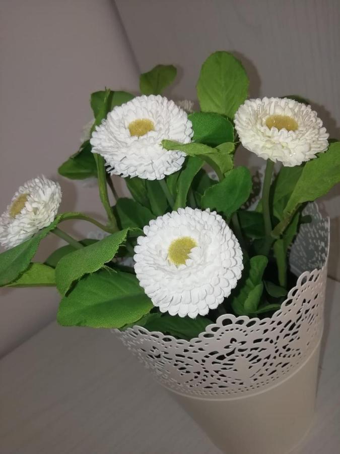 Guest house Roma