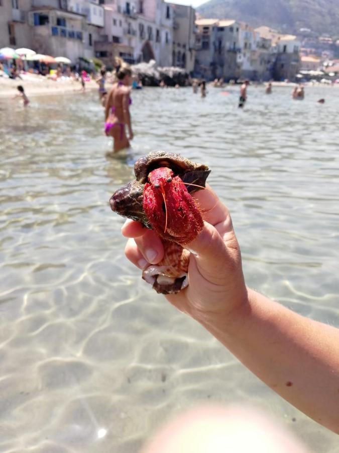 Rosehouse Cefalu