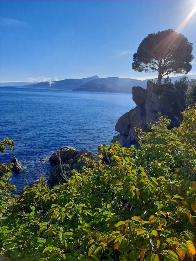 Apartment Kalura D Cefalu