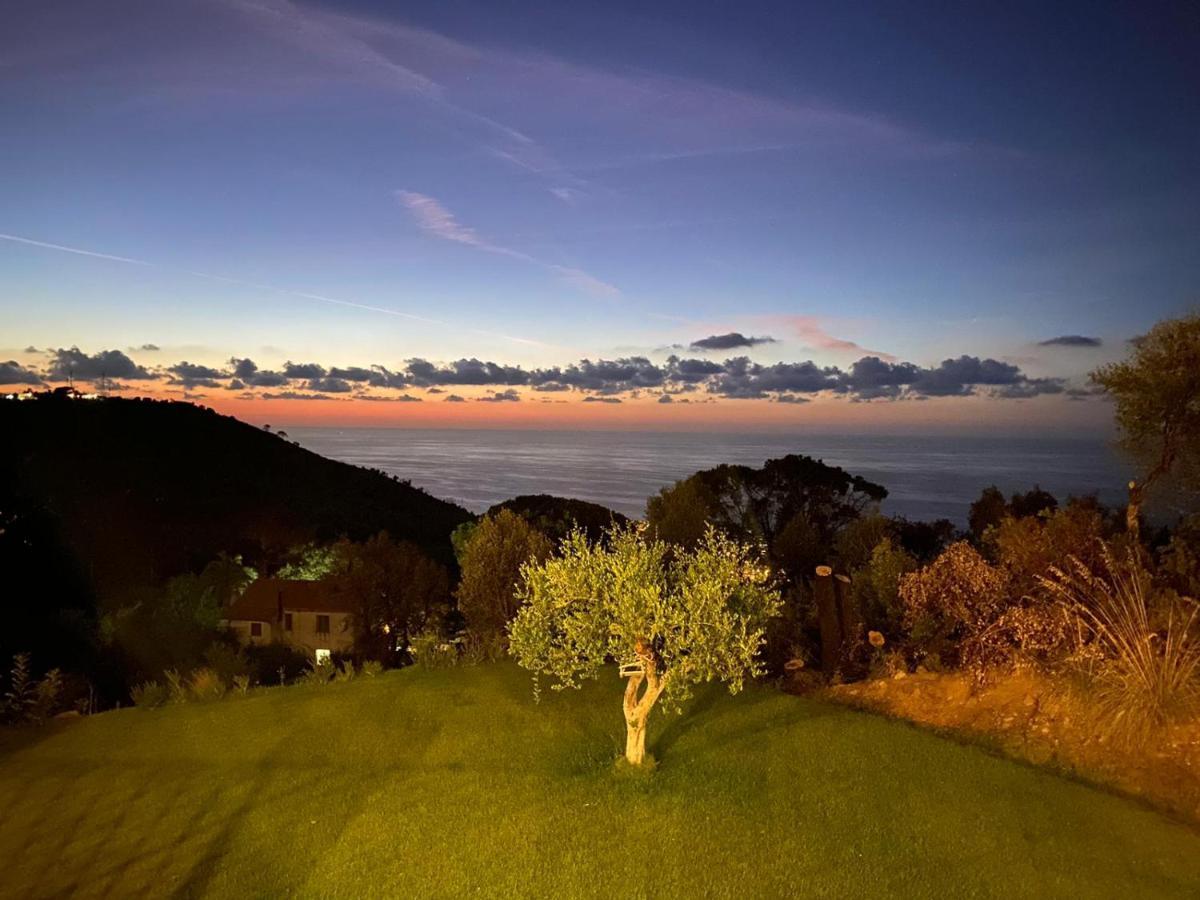 B&B Le Ginestre Bed & Breakfast