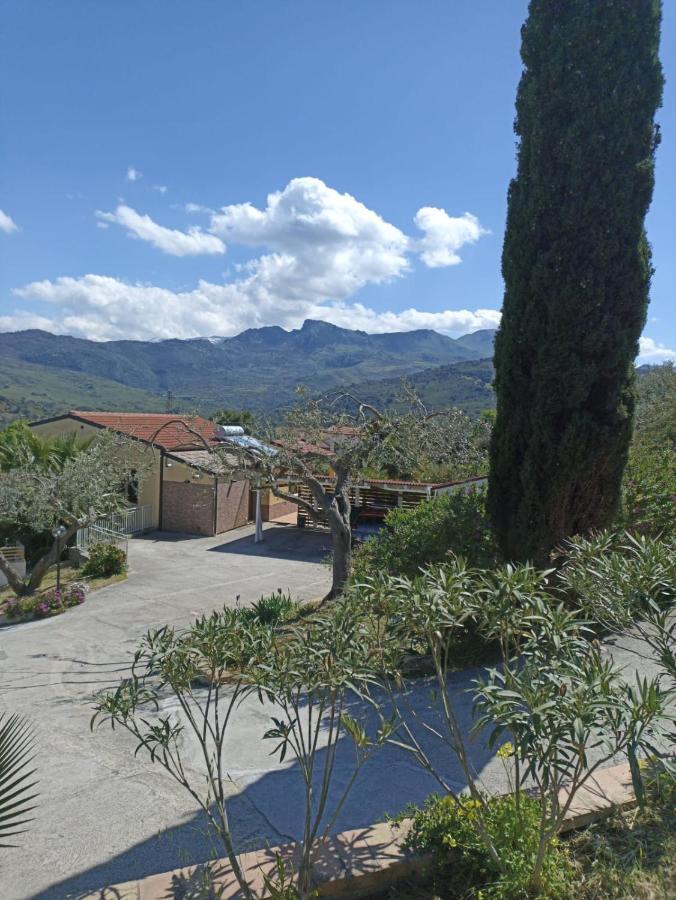Apartment Casa Delle Palme *