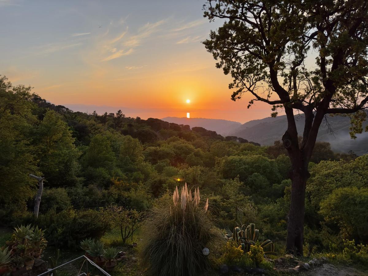 Gasthof Forest Hideout Cefalù