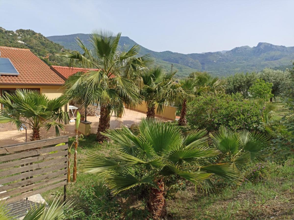 Casa Delle Palme *