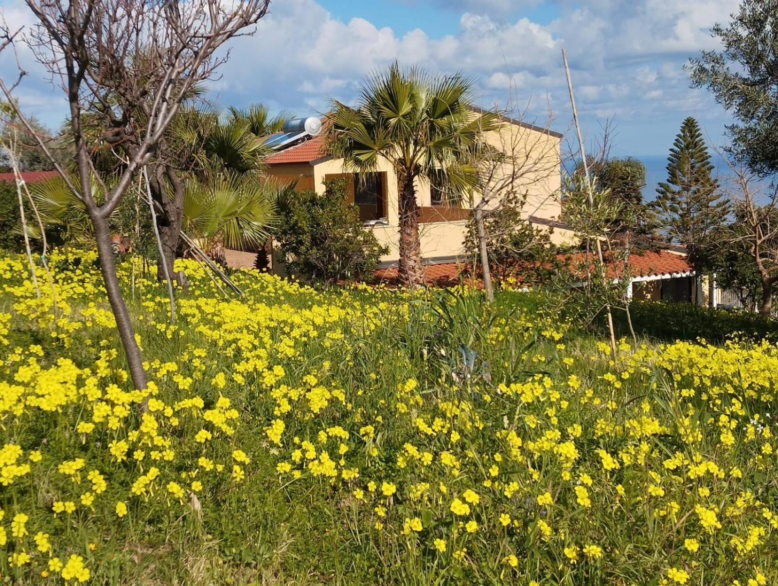 Casa Delle Palme Cefalu