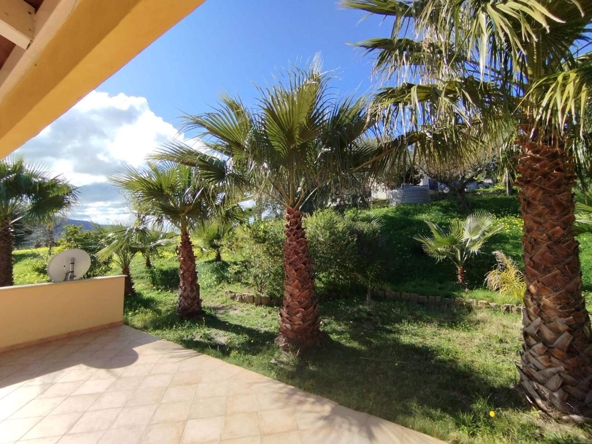 Casa Delle Palme Apartment Cefalu