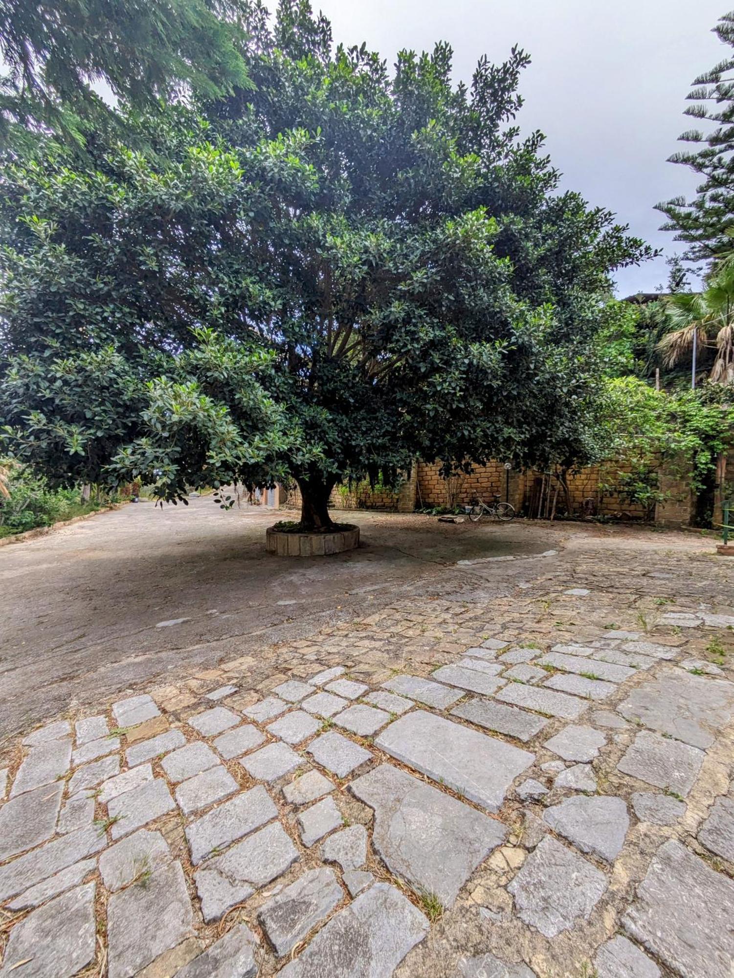 Terra Mia Cefalu