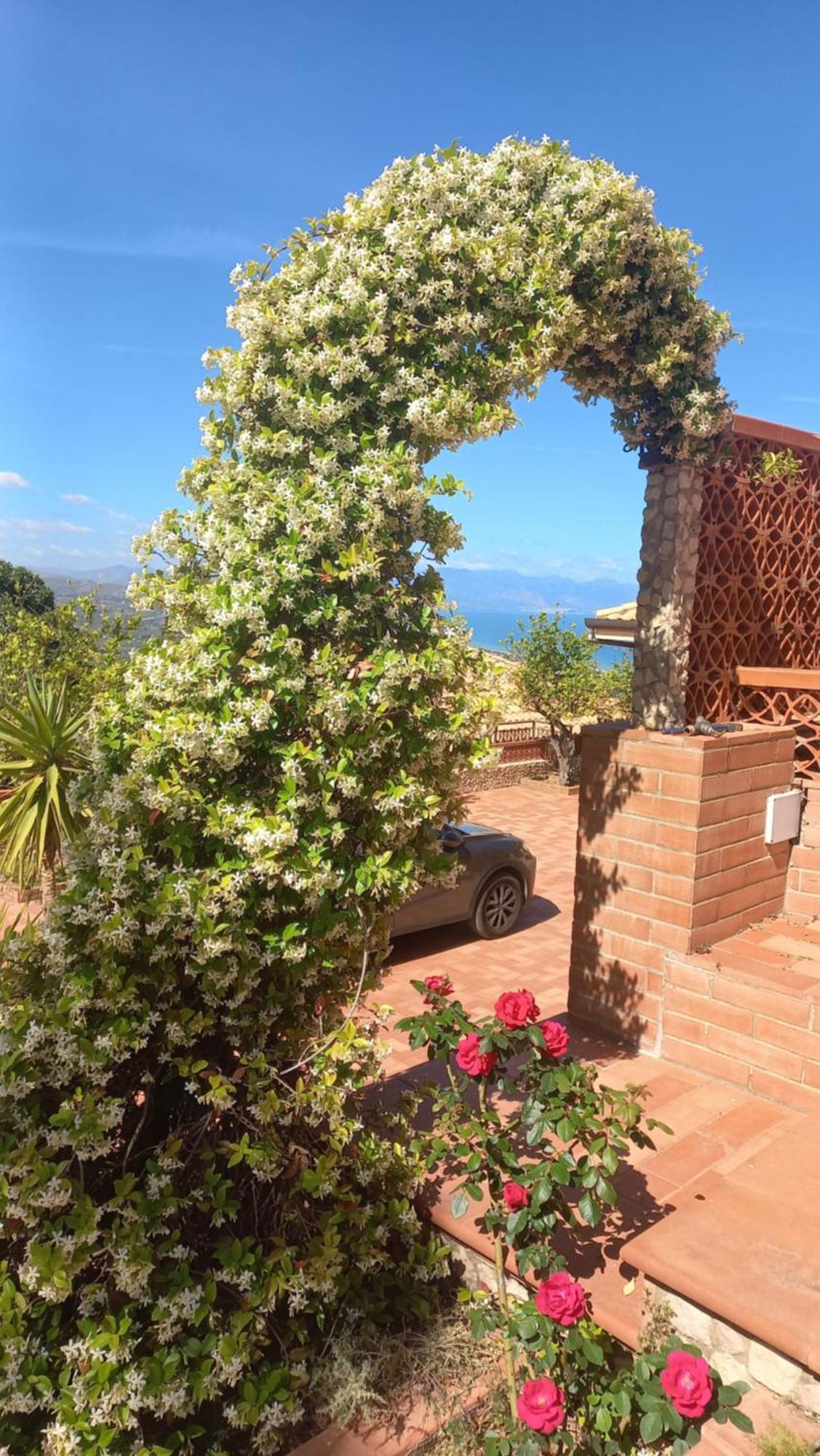 Villa Verde Villa