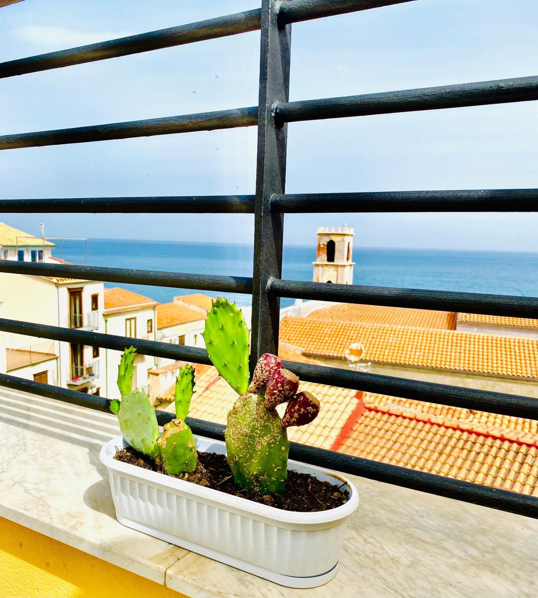 Dolce Estate Apartment *