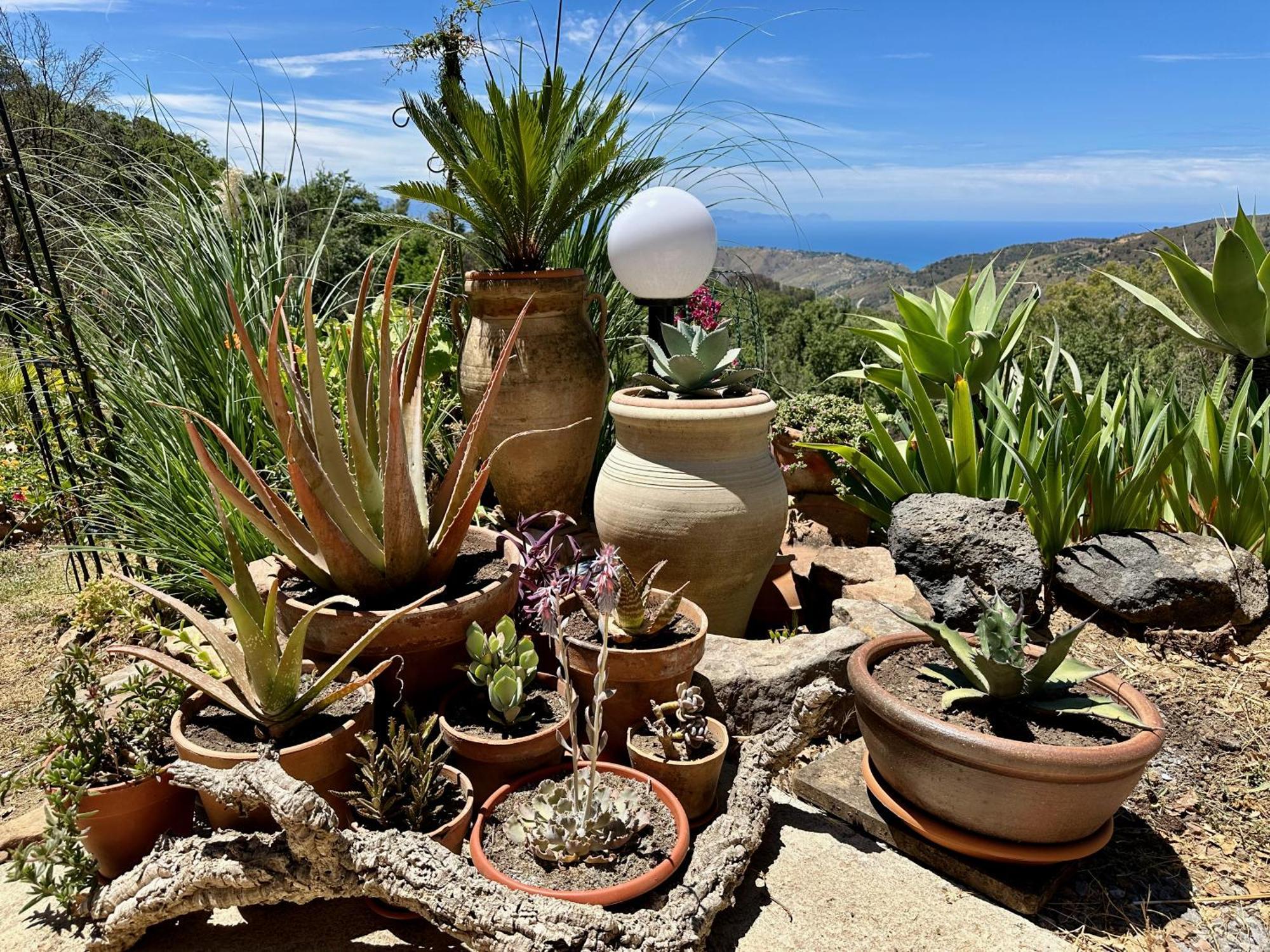 Affittacamere Forest Hideout