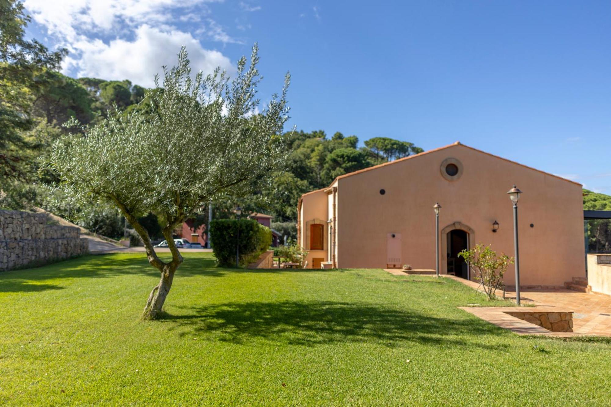 Bed & Breakfast B&B Le Ginestre