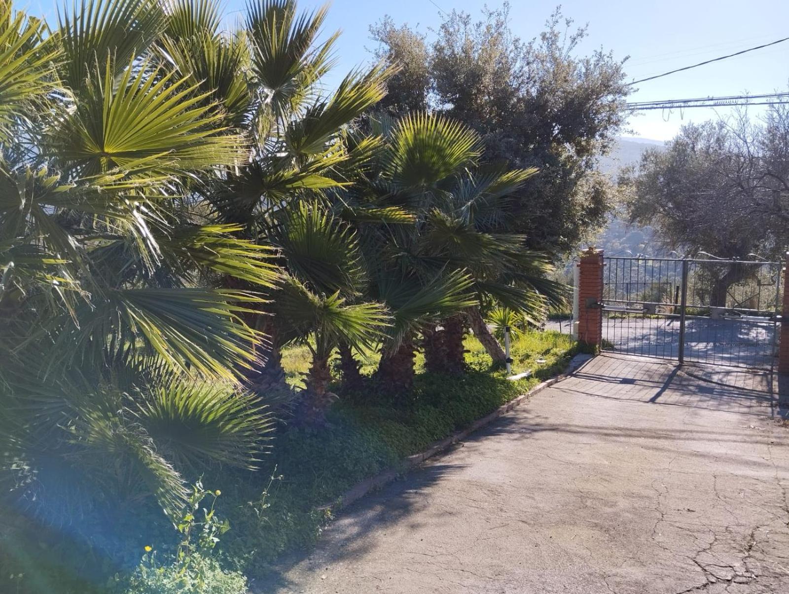 Casa Delle Palme