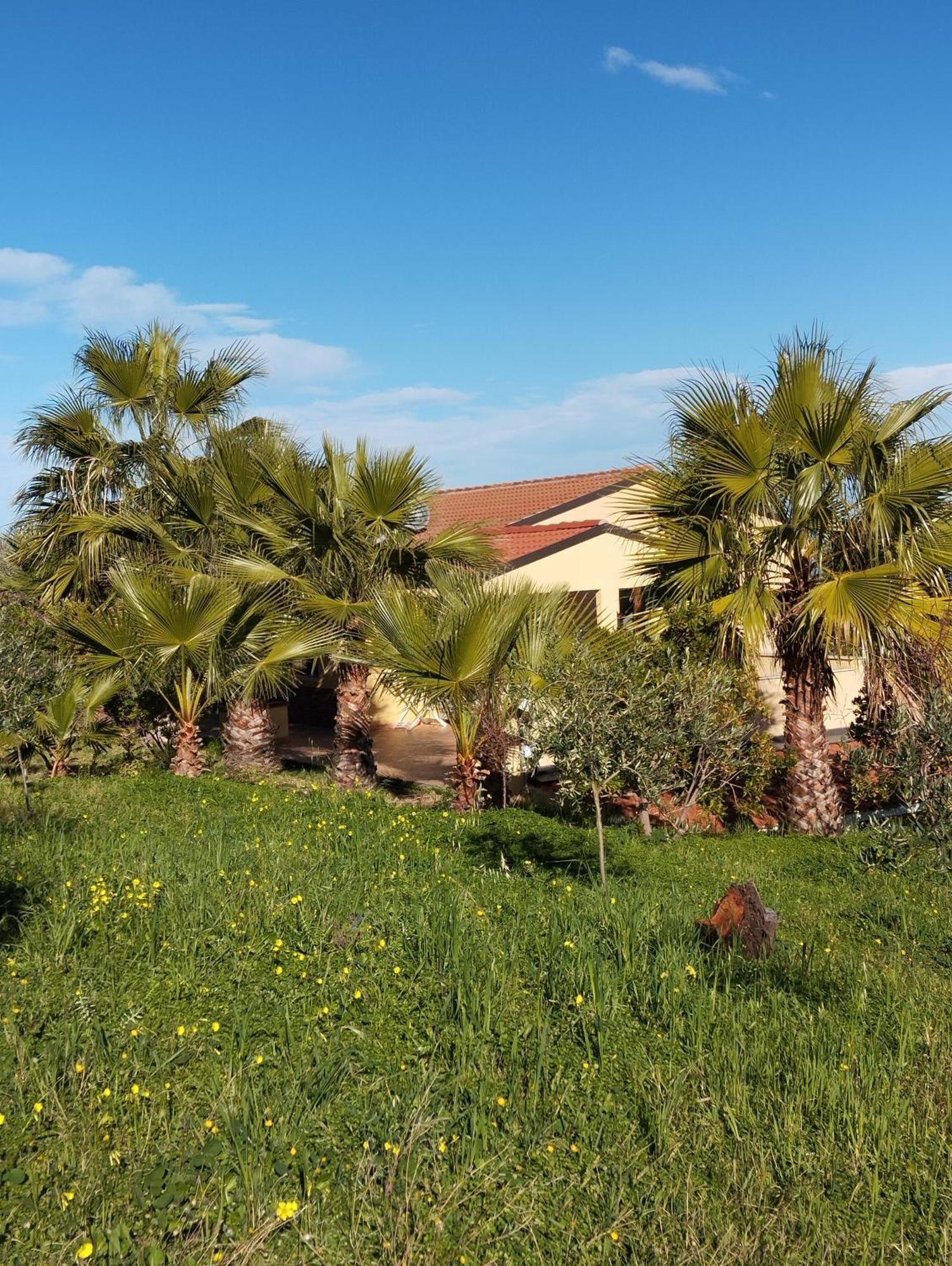 Casa Delle Palme
