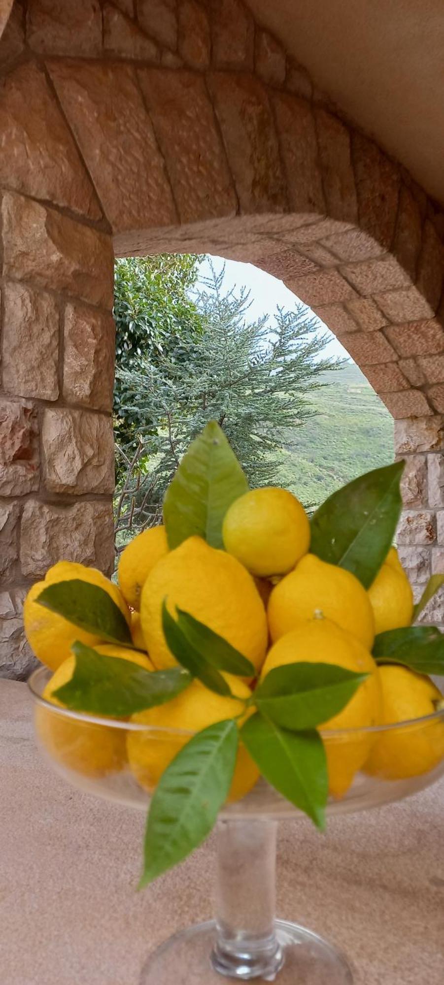 Villa Verde Villa *