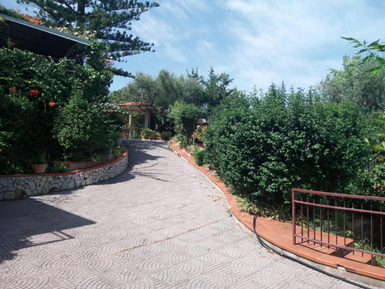 In Sea Horizon Escape * Cefalu