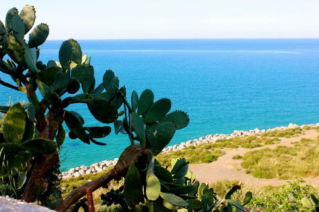 Mareblu Bed & Breakfast *