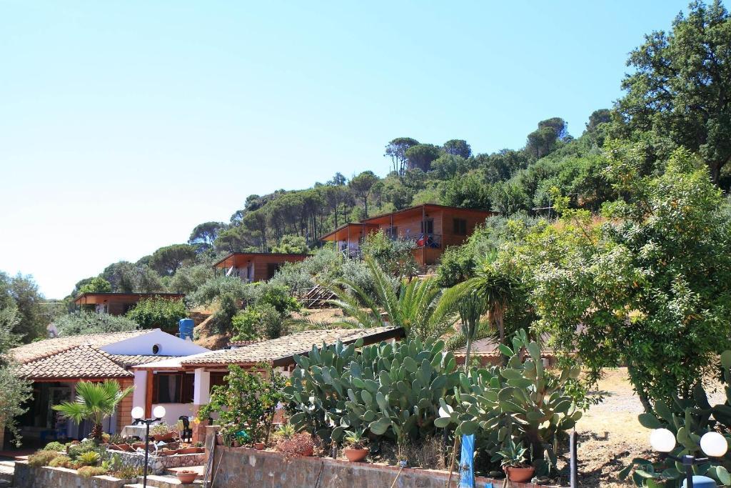 Mareblu Cefalu