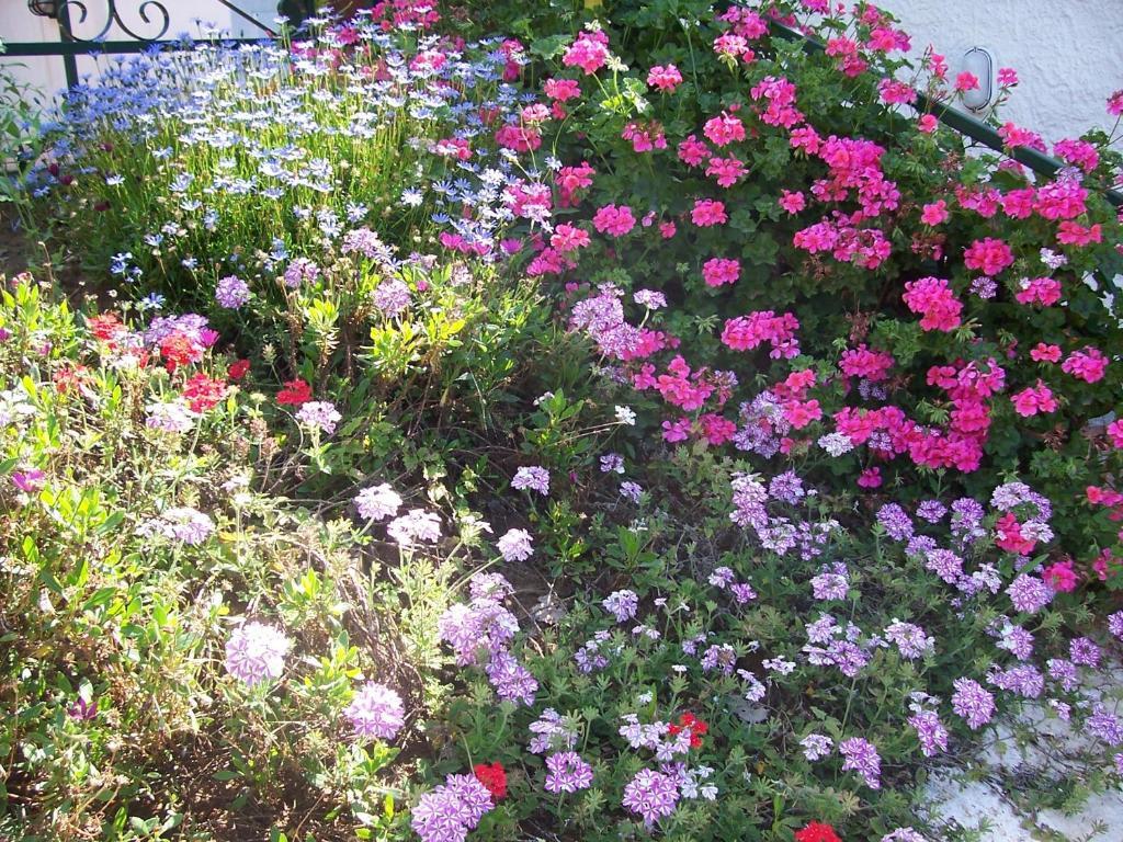 Arcobaleno Bed & Breakfast