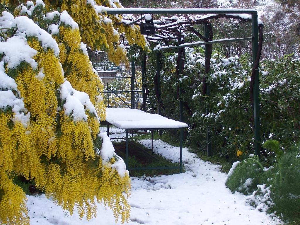 Arcobaleno Bed & Breakfast 3*
