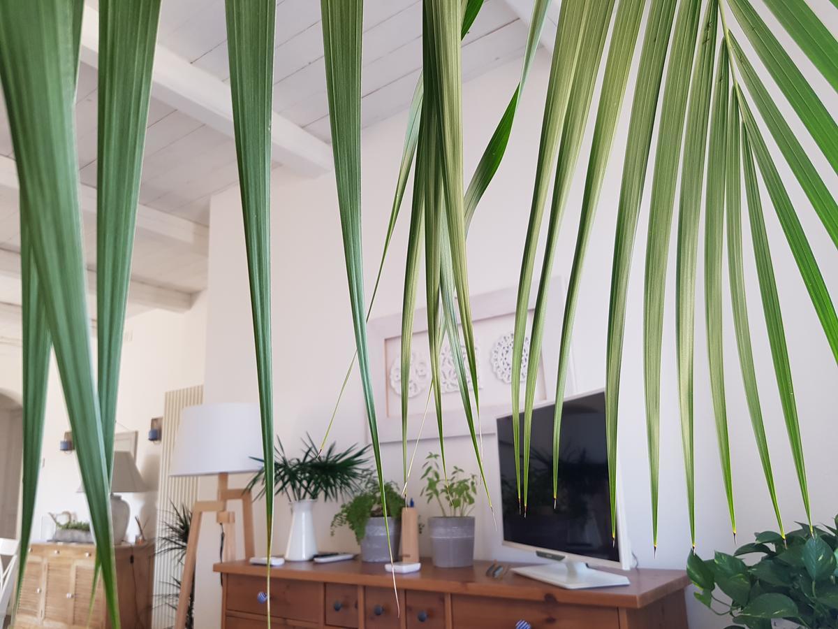 Azzurro Bed & Breakfast 3*