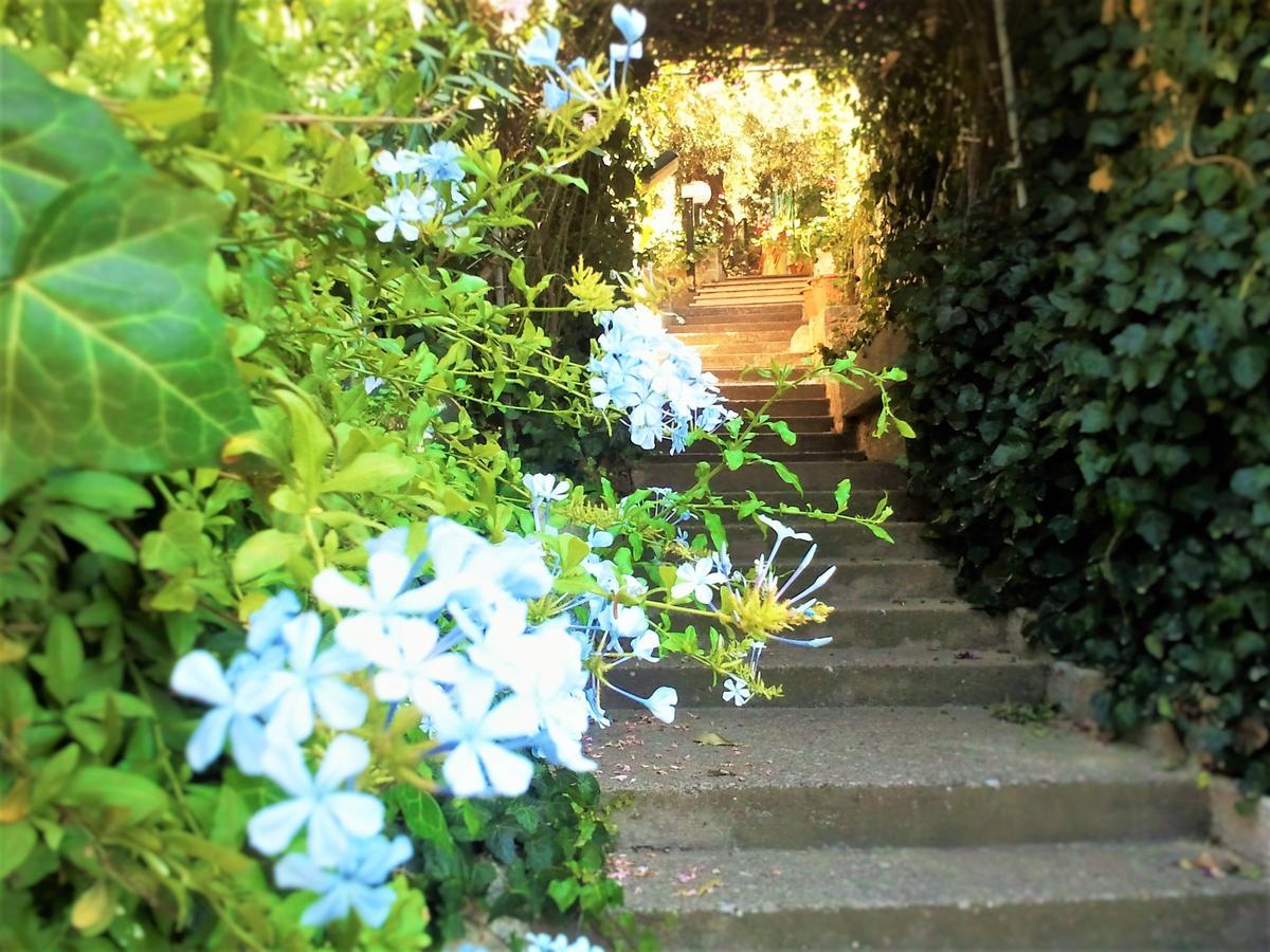 Delle Rose Bed & Breakfast *