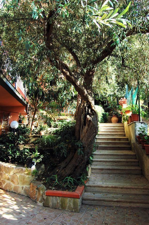 Bed & Breakfast Delle Rose
