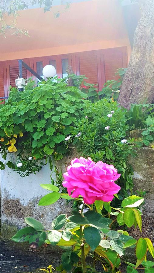 Delle Rose * Cefalu
