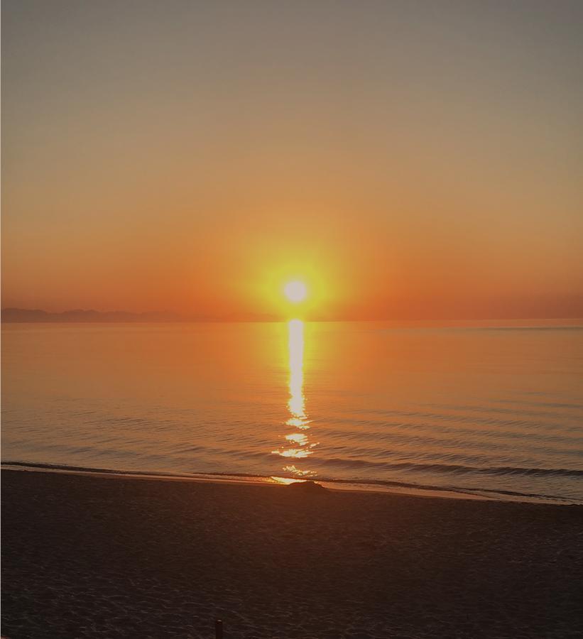 Olas Del Mar Bed & Breakfast *