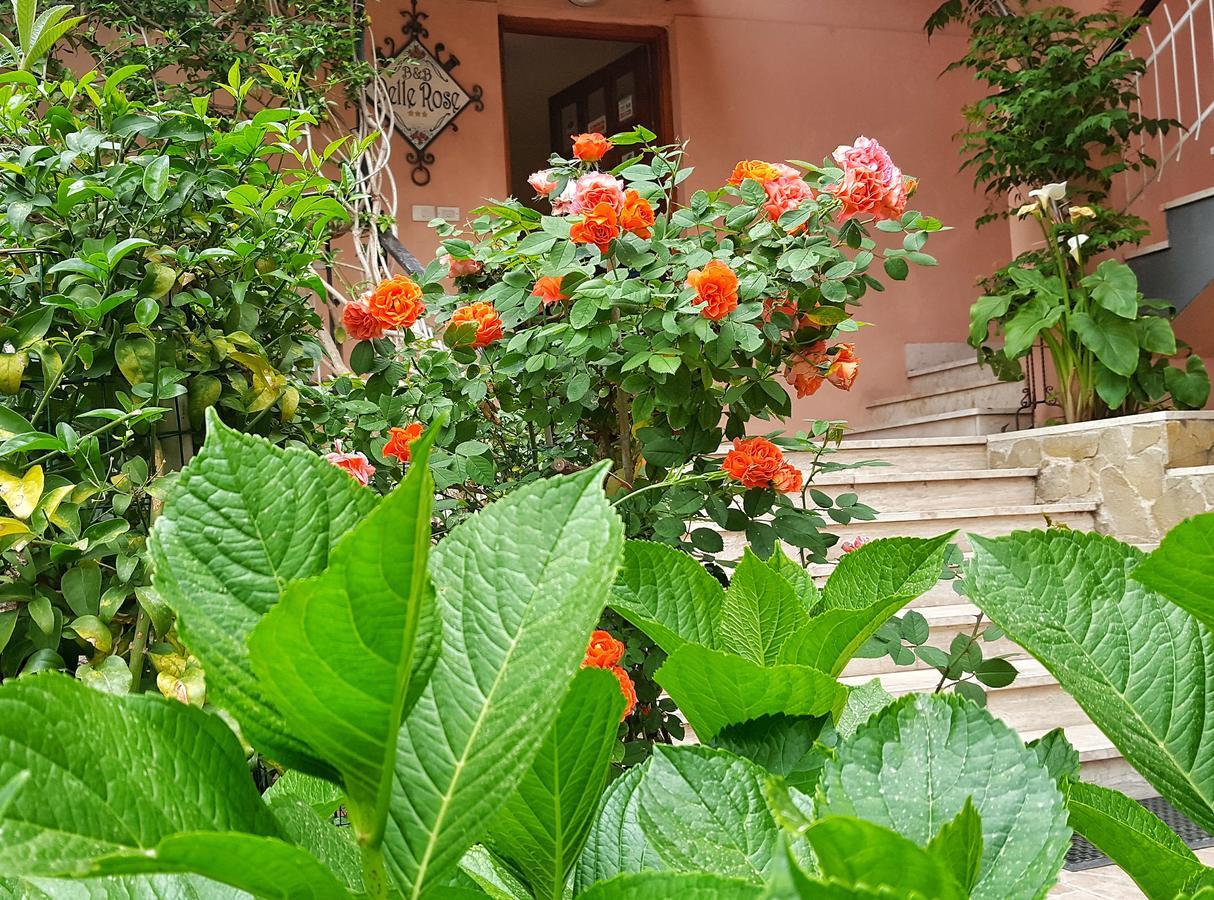 Delle Rose Bed & Breakfast *
