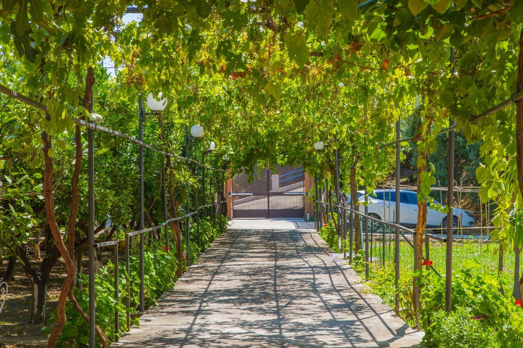 Apartment Connie's Heritage Cefalu