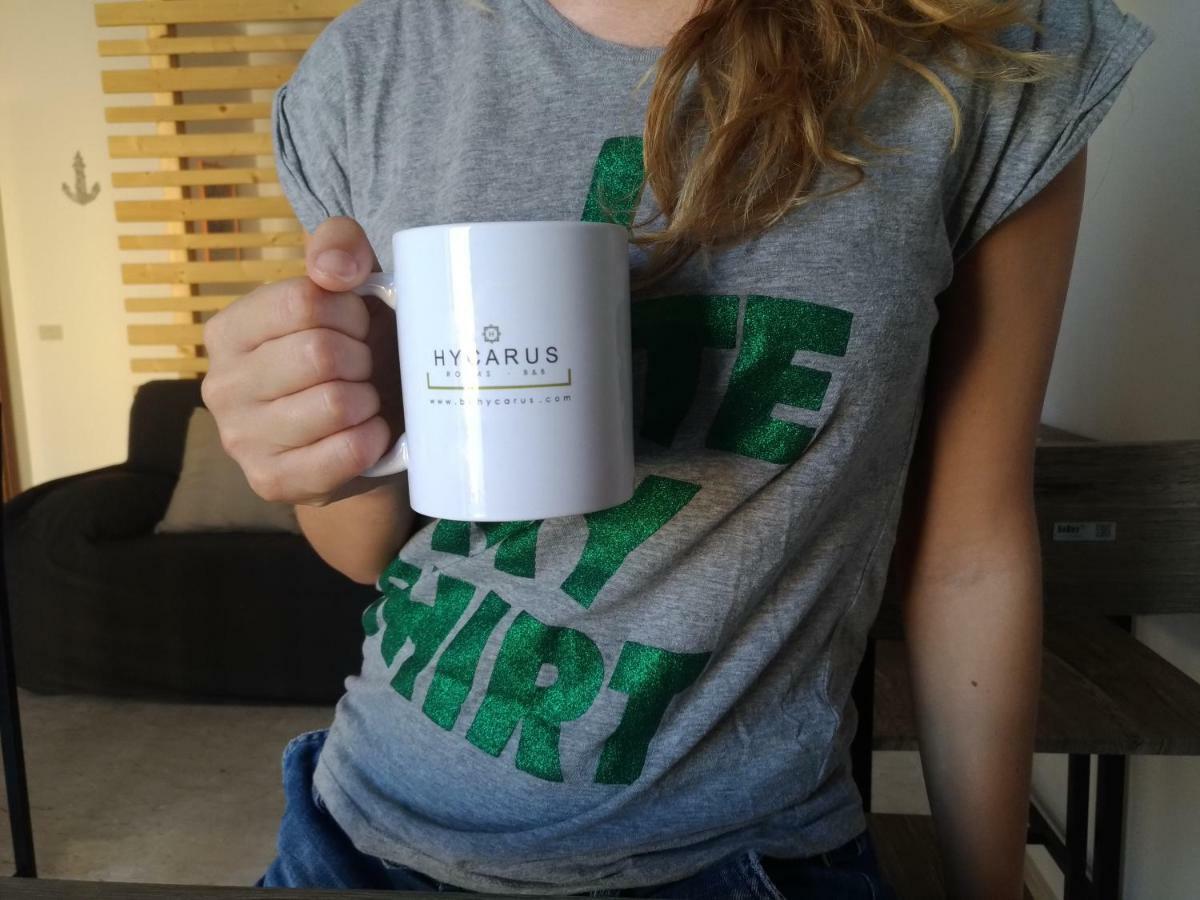 Acomodação com café da manhã  Hycarus 3*