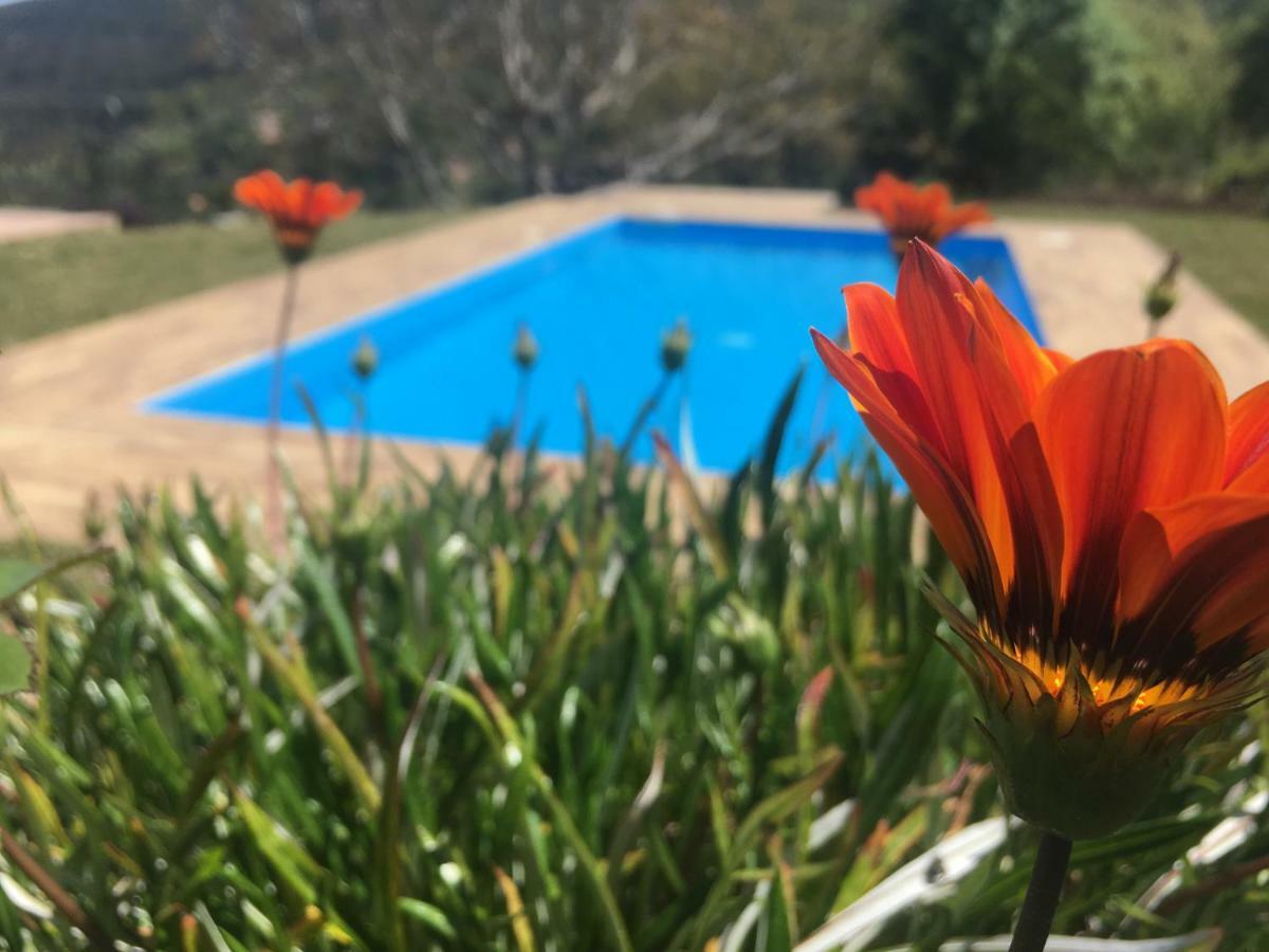 Villa Lavanda *