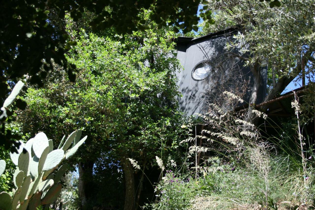 Campsite La Casa Sull'albero