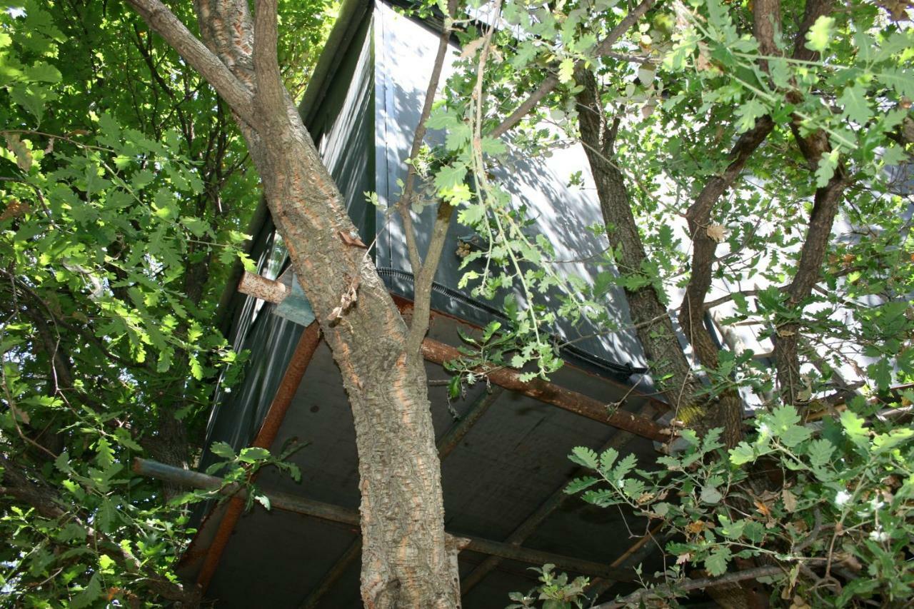 La Casa Sull'albero *