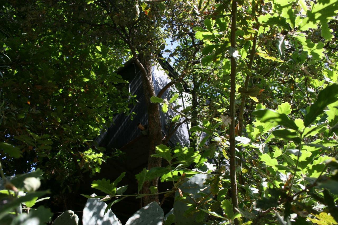 La Casa Sull'albero Campsite