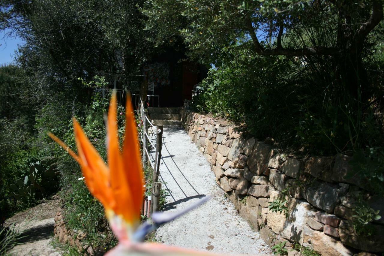 La Casa Sull'albero Campsite