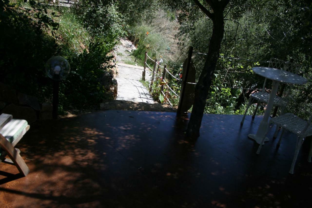 Campsite La Casa Sull'albero *