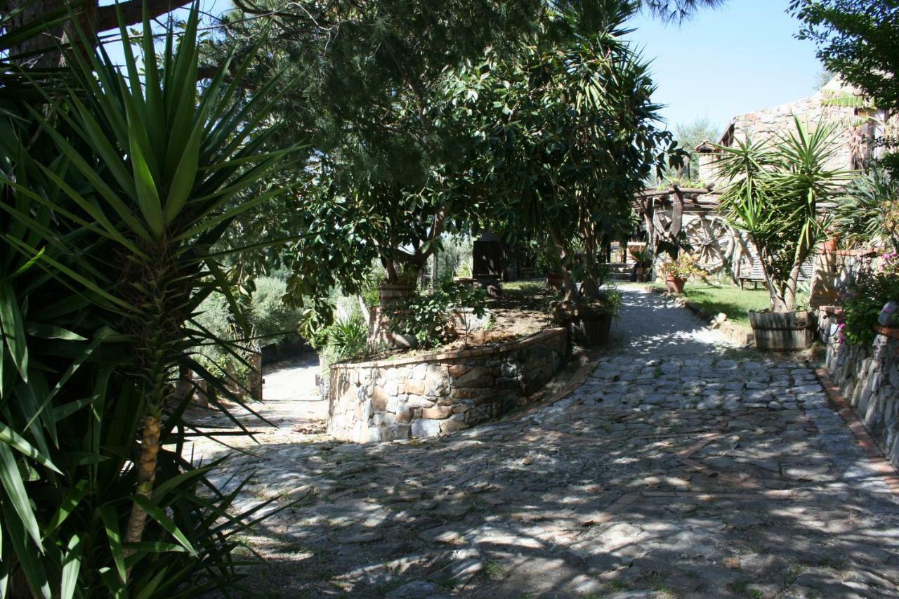 Campsite La Casa Sull'albero *