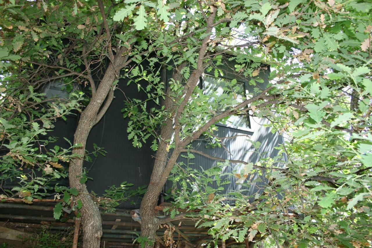 La Casa Sull'albero Campsite