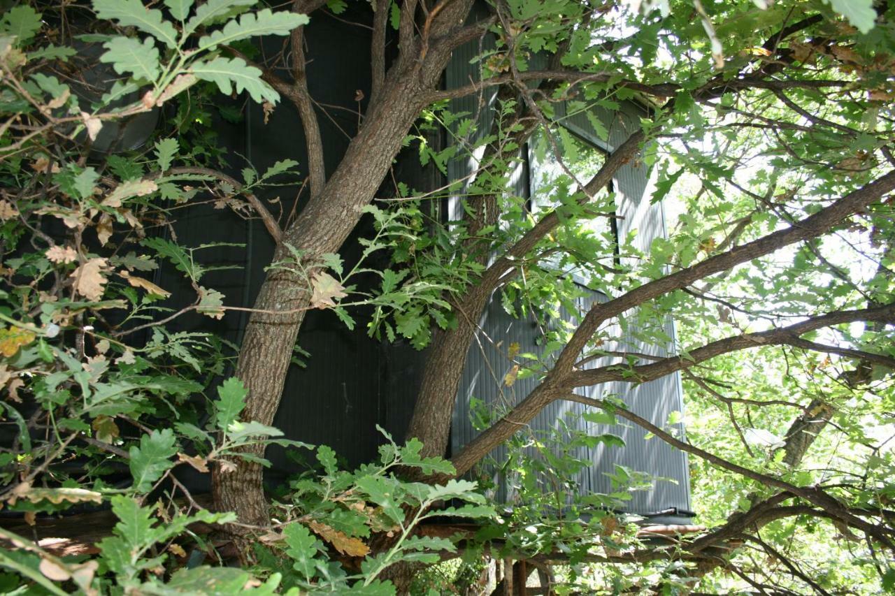 Campsite La Casa Sull'albero