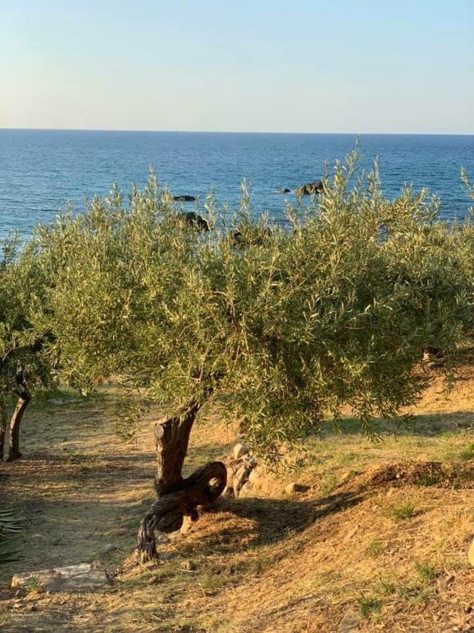 Ogliastro Sul Mare * Cefalu