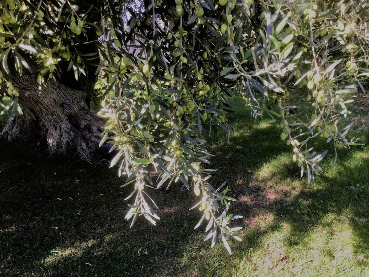 Il Dono Di Atena Cefalu