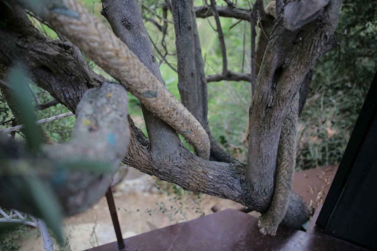 La Casa Sull'albero Campsite *
