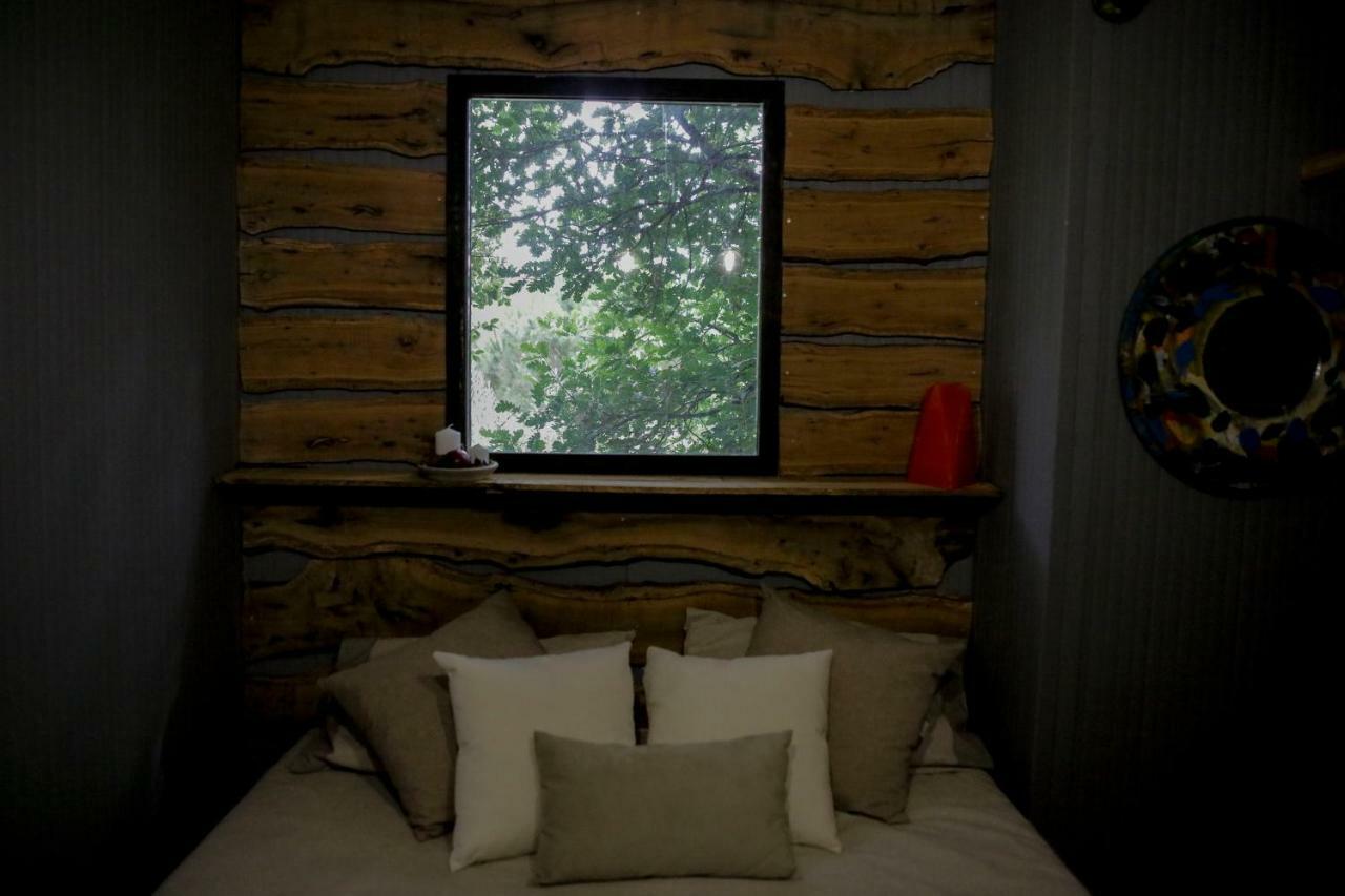 La Casa Sull'albero *