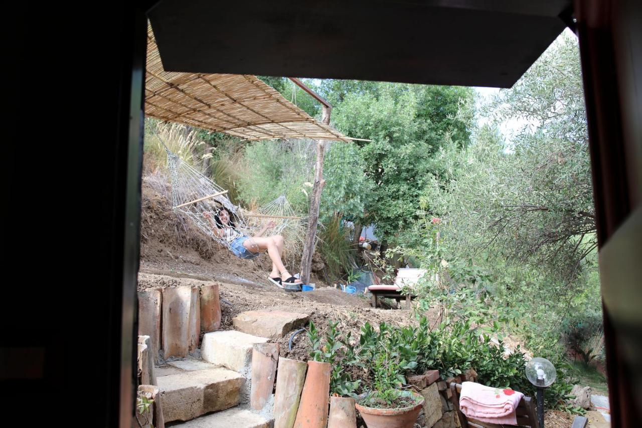 Campsite La Casa Sull'albero *